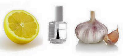 fortifiant pour les ongles-ail fortifiant pour les ongles Fortifiant naturel pour les ongles, solution des ongles cassants 12729355 1681078305500672 386385930443285211 n
