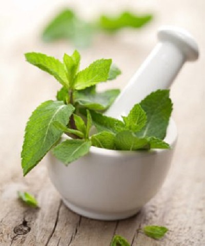 anti cernes anti cernes Remède anti cernes a la menthe mint