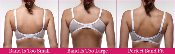 band-fit-graphic soutien gorge Définir la taille exacte de son soutien gorge band fit graphic