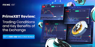 Understanding PrimeXBT Forex Trading Fees 9 understanding-primexbt-forex-trading-fees-9_2 understanding-primexbt-forex-trading-fees-9_2 Understanding PrimeXBT Forex Trading Fees 9 Understanding PrimeXBT Forex Trading Fees 9 understanding primexbt forex trading fees 9 2